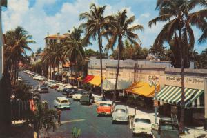Florida Postcard IV #57481