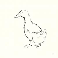 Line Duck I #58323