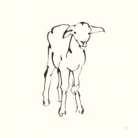 Line Lamb #58327