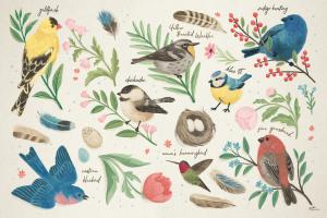 Bird Study I #58594
