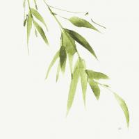 Bamboo VI Green #58948