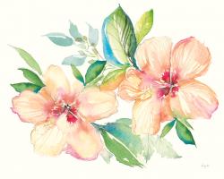 Pastel Garden Hibiscus #59879