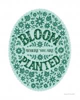 Bloom Where You are Planted #60064