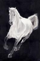 White Horse #98534