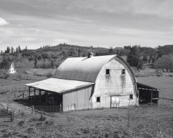 Old Barn #89708