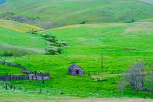 Old Shed #89709