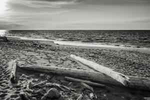 Driftwood On Beach, Fort Worden State Park #98171