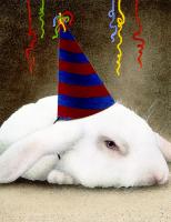 Party Animal #72089 Party Animal #72089