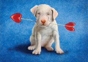 Puppy Lover #72102 Puppy Lover #72102