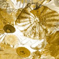 Underwater Perspective in Gold #CC112098