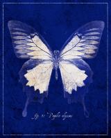 Blue Mountain Butterfly Cyanotype #87520