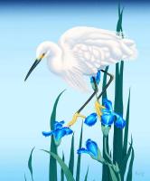 Spring Egret detail #GY114484
