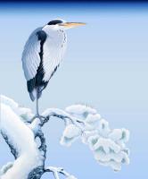Winter Heron detail #GY114485