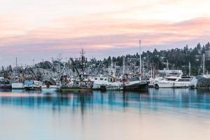 Ballard Marina I #92942