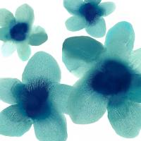 Aqua Blooms I #HC114197