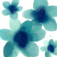 Aqua Blooms II #HC114198