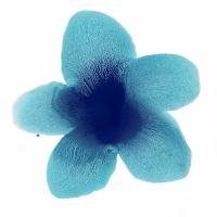 Blue Bloom II #HC114202