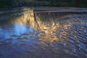 Canyon Creek, Canyon de Chelly #91590