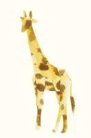 Giraffe #98519 Giraffe #98519