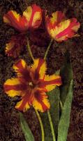 Decorative Tulips I #IS4494