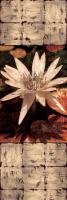 Waterlily Panel I #IS5176