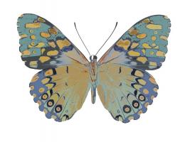 Butterfly in Amethyst II #JBC113338