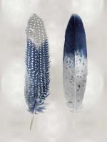 Blue Feather Pair on Silver #JBC114216
