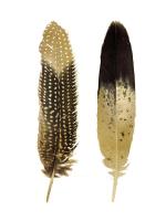 Gold Feather Pair #JBC114221