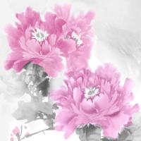 Flower Bloom in Pink II #JES113298