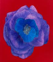 Purple #78562 Purple #78562