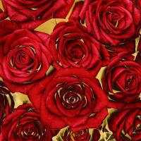 Roses - Red on Gold #KTB113452