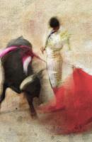 San Miguel, Bullfight #2 #72880