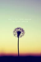 Don't Let your Dreams be Just Dreams #90594 Don't Let your Dreams be Just Dreams #90594