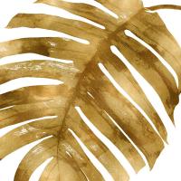 Tropical Gold Palm II #MMR114329