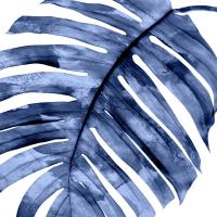 Tropical Indigo Palm II #MMR114333