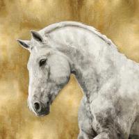White Stallion on Gold #MRR113460