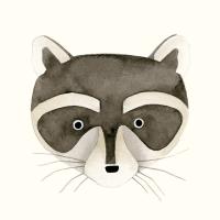 Raccoon Watercolor Face #91073