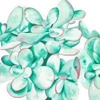 Untitled #98329 Untitled #98329