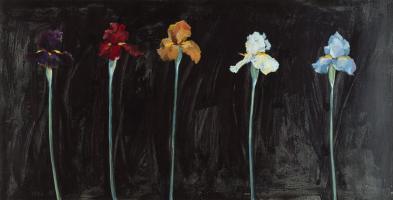 Midnight Irises #75068