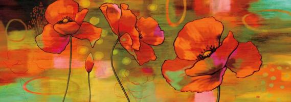 Magical Poppies #NIS6500