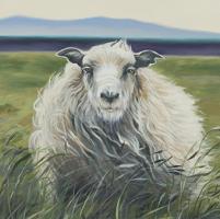 Homespun (Lamb) #OJAR-3419