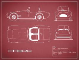 Cobra-Maroon #RGN112704