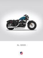 Harley Davidson XL 1200X Forty #RGN113688