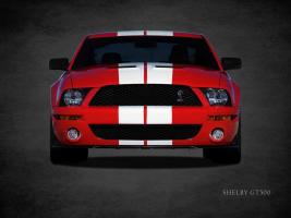 Ford Shelby GT500 #RGN114425