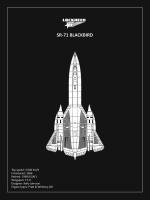 BP LOCKHEED SR-71 Black #RGN114938