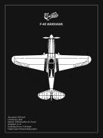 BP P-40 Warhawk Black #RGN114944