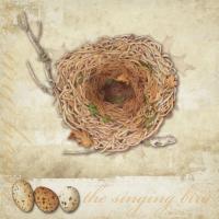 Singing Bird Nest A #87451