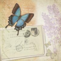 Butterfly Lavender B #87468 Butterfly Lavender B #87468