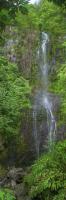 Maui Waterfall #SN111992