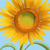 Flower Art 6 #91733 Flower Art 6 #91733